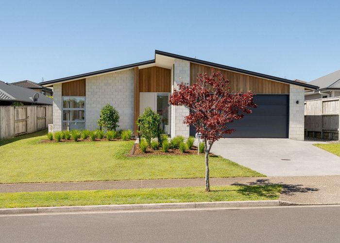  at 17 Puhirake Crescent, Pyes Pa, Tauranga, Bay Of Plenty