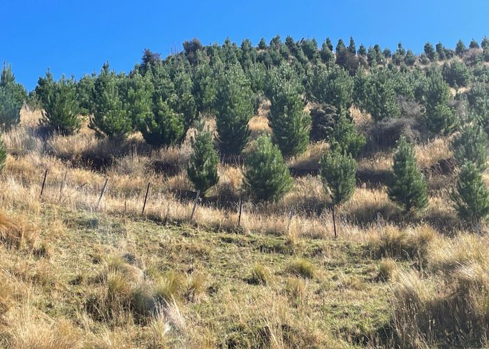  at 2314 Inland Road, Waiau, Hurunui, Canterbury
