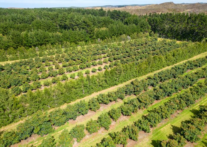  at 373 Kimberley Road, Ngataki, Far North, Northland