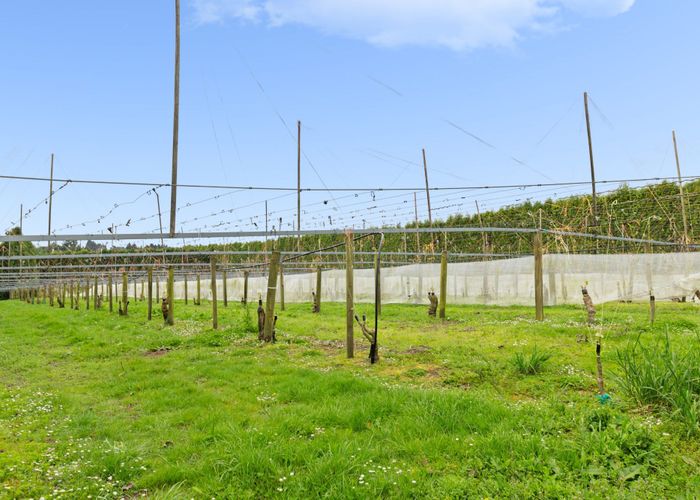  at Lot 3/1010 Te Matai Road, Te Puke, Western Bay Of Plenty, Bay Of Plenty