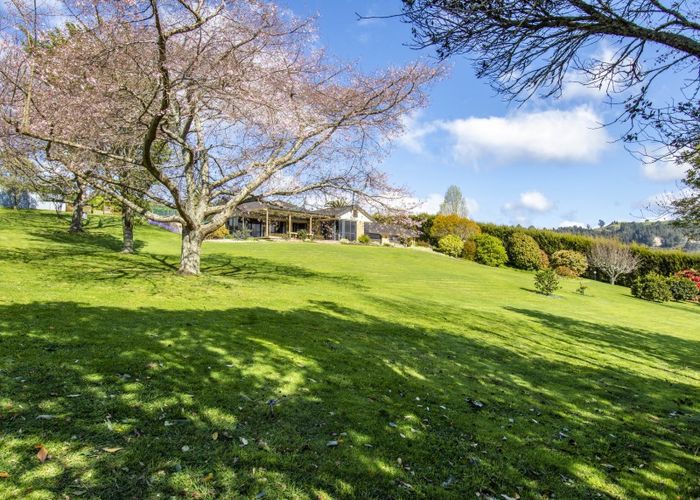  at 40B Snodgrass Road, Tauranga