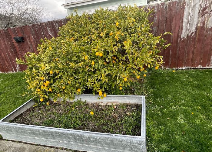  at 4 Heretaunga Square, Silverstream, Upper Hutt, Wellington