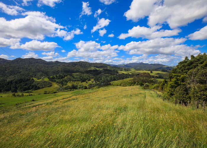  at 132 Swetman Road, Waikino, Hauraki, Waikato