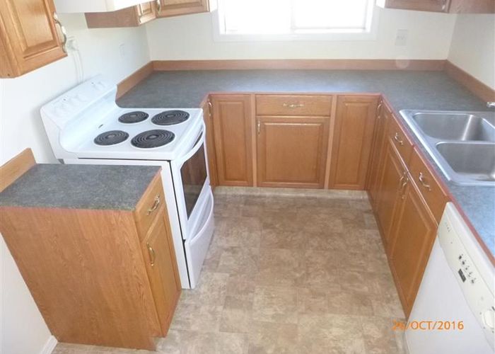  at 1007A Pakowhai Road, Mahora, Hastings, Hawke's Bay