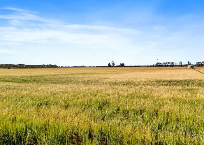  at 215 Falvey Road, Timaru, Timaru, Canterbury