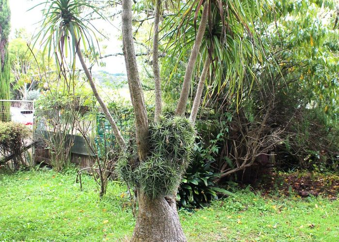  at 23 Woodleigh Road, Huntly, Waikato, Waikato