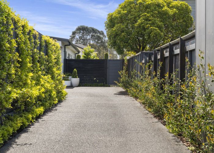  at 65A Concord Avenue, Mount Maunganui