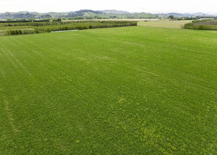  at 861 Matawai Road, Ormond, Gisborne, Gisborne