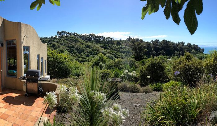  at 31 Haile Lane, Pohara