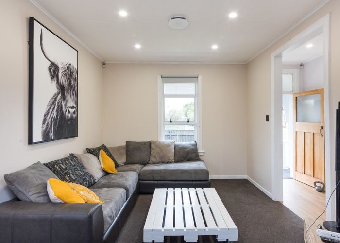  at 19 Carlisle Street, Milson, Palmerston North