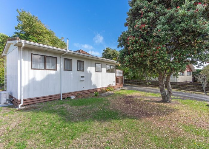  at 101 Norfolk Crescent, Otaki Beach, Kapiti Coast, Wellington