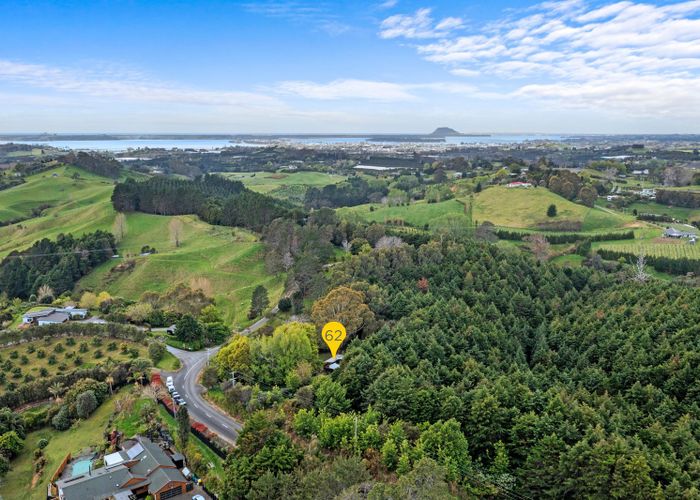 at 62 Lowe Road, Tauranga