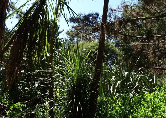  at 16 Waka Tete Place, Waitarere Beach, Horowhenua, Manawatu / Whanganui
