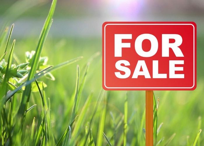  at Lot 31-52 Coptic Terrace, Pokeno, Franklin, Auckland