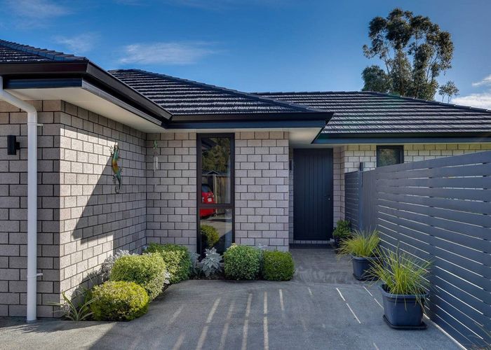  at 46 Grigg Drive, Witherlea, Blenheim