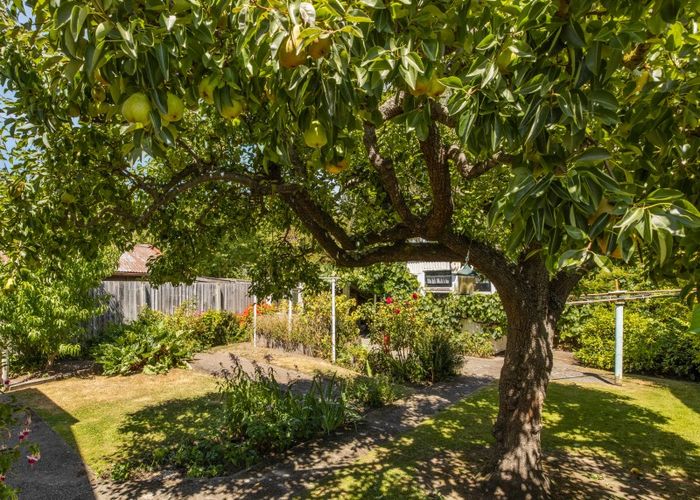  at 16 Gibbon Street, Sydenham, Christchurch