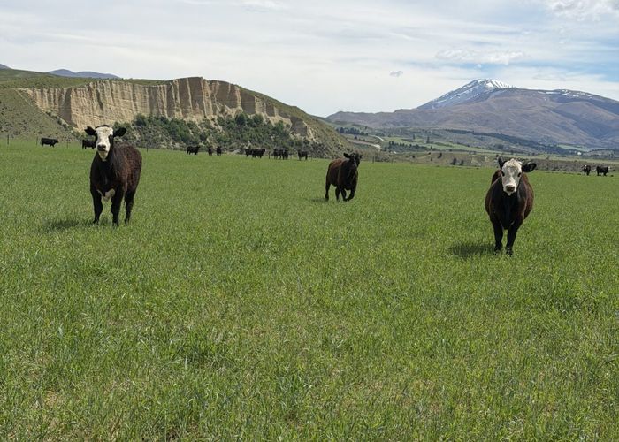  at 5582 Wedderburn-Becks Road, Oturehua, Central Otago, Otago