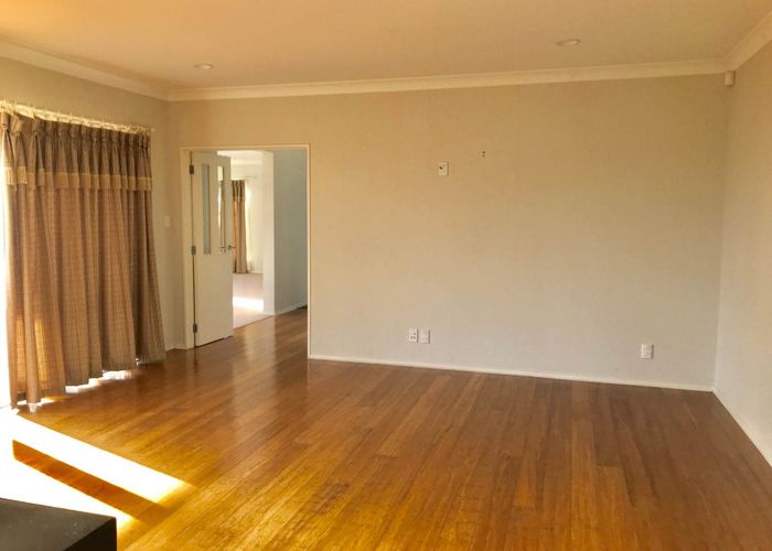  at 19 Woolaston Place, Flat Bush, Manukau City, Auckland