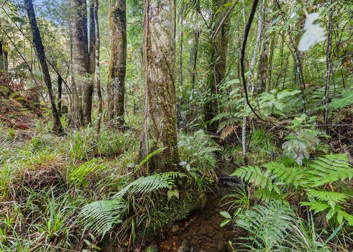  at 80 Pupu Valley Road, Golden Bay, Tasman, Nelson / Tasman