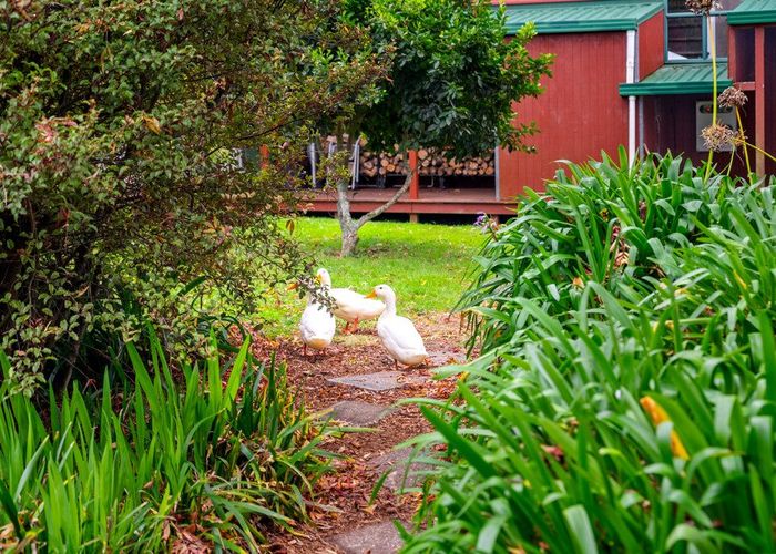  at 43B Nairn Road, Hunua, Franklin, Auckland