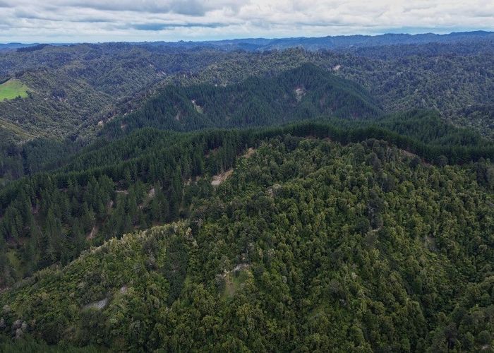 For sale 3811 Waitotara Valley Road, Ngamatapouri, Waitotara, South