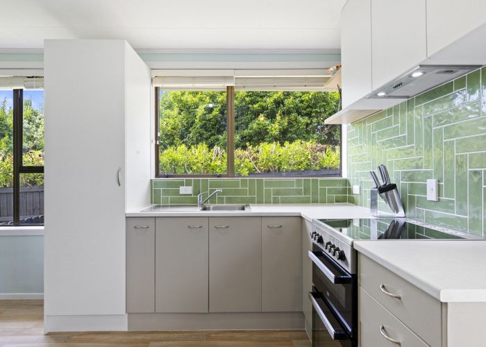  at 16 Frank Hewitt Street, Pukekohe, Franklin, Auckland