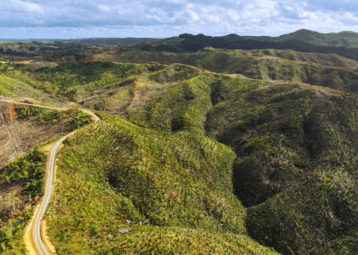  at Highway 22, Ngaruawahia, Waikato, Waikato