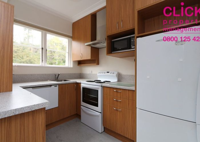  at 4 B Alva Street, City Centre, Dunedin, Otago