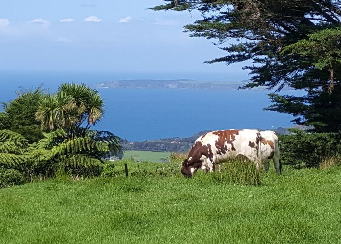  at 65 Rodney Road, Pakiri, Rodney, Auckland