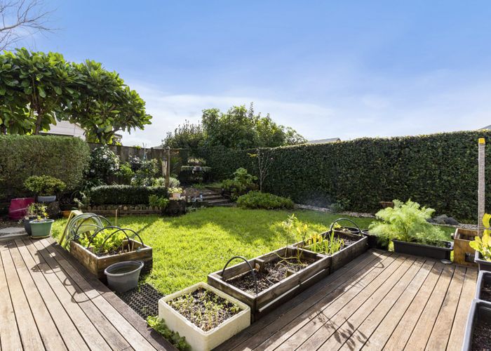  at 74E Ireland Road, Mount Wellington, Auckland