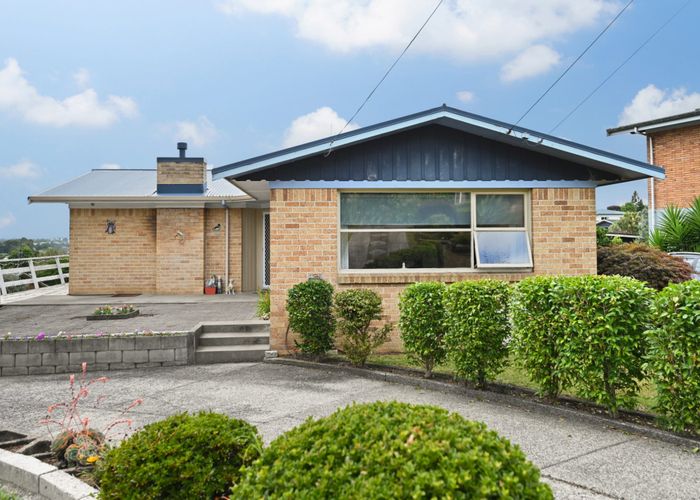 at 96 Newcastle Road, Dinsdale, Hamilton