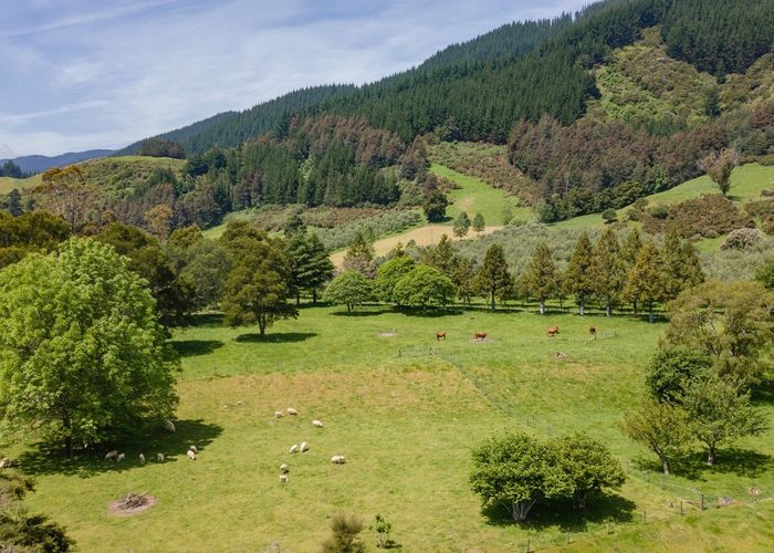  at 145 Andrews Road, Brightwater, Tasman, Nelson / Tasman