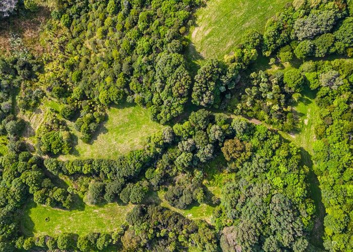  at 20 Constable Road, Muriwai Beach, Rodney, Auckland