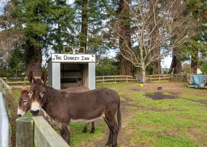  at 36A State Highway 30, Tikitere, Rotorua