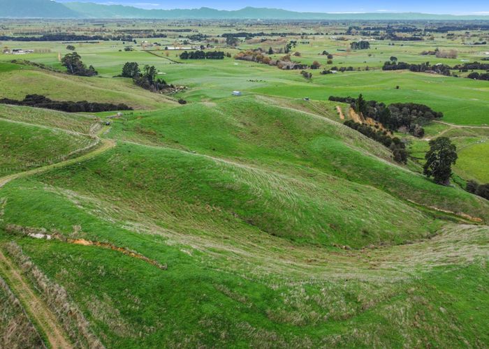 at 364 Quine Road, Morrinsville, Matamata-Piako, Waikato