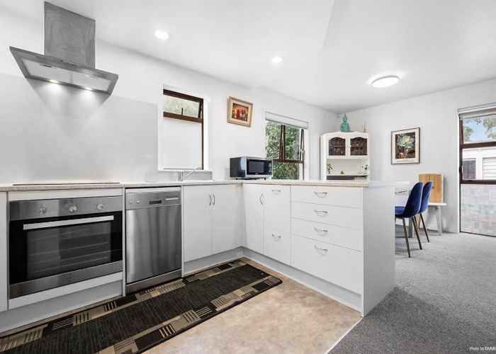  at 1/17 Coyle Street, Sandringham, Auckland City, Auckland