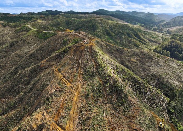  at Highway 22, Ngaruawahia, Waikato, Waikato