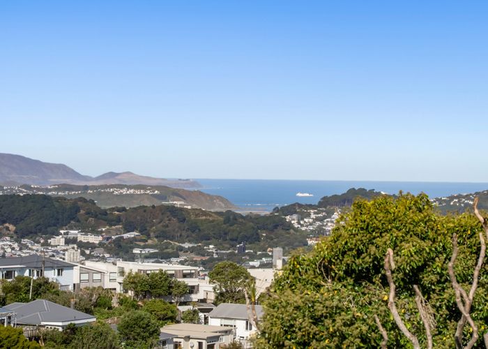  at 58 Bedford Street, Northland, Wellington, Wellington