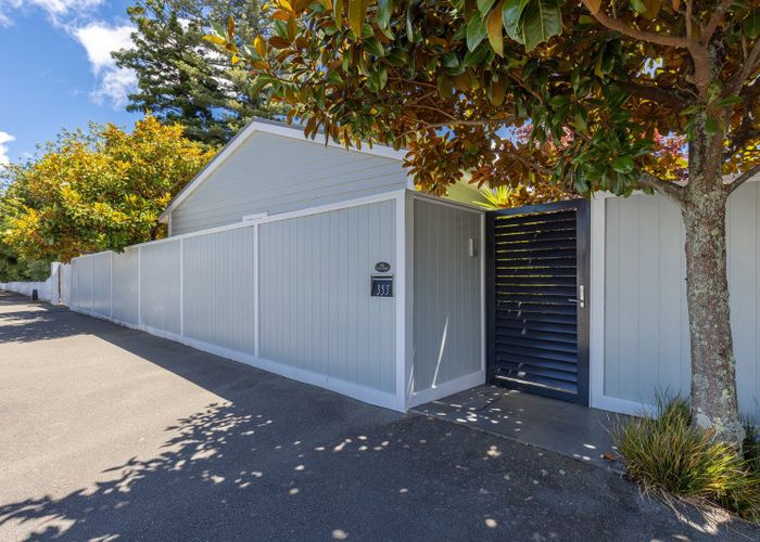  at 353 Hardy Street, Nelson, Nelson