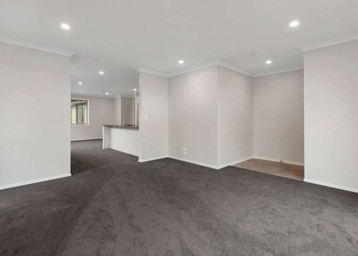  at 12 Harp Street, Morrinsville, Morrinsville