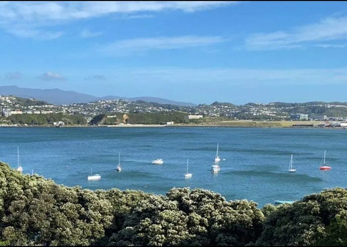  at 11 Rewa Road, Hataitai, Wellington, Wellington