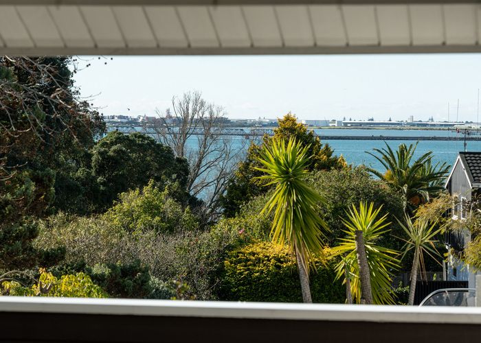  at 20 Fraser Street, Tauranga South, Tauranga