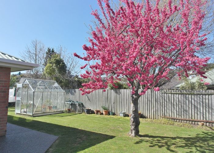  at 359 Cashmere Road, Westmorland, Christchurch