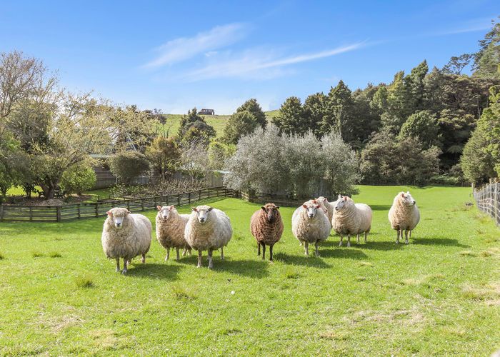  at 346 Woodcocks Road, Warkworth, Warkworth