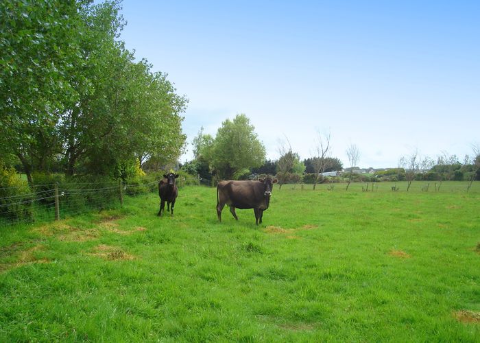  at 323 Bain Street, Clifton, Invercargill