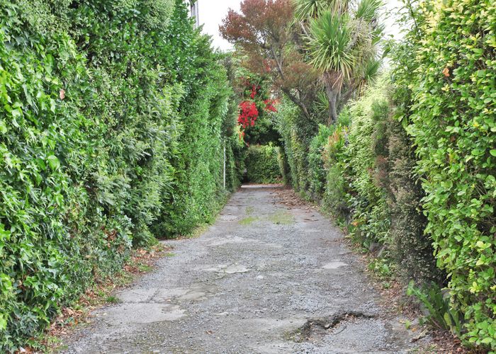  at 2 Frankleigh Street, Somerfield, Christchurch