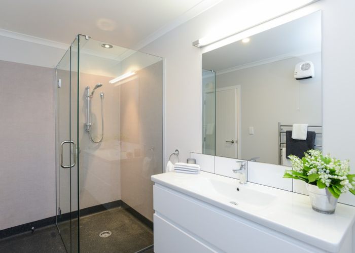  at 1008B Frances Street, Akina, Hastings