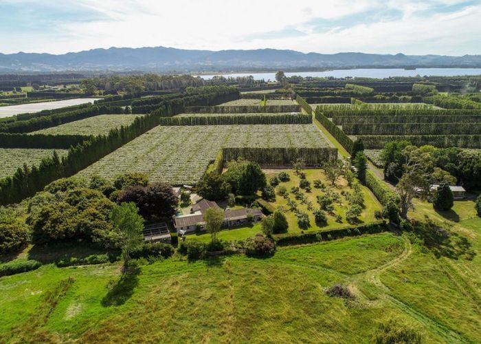  at 380B Matahui Road, Aongatete, Katikati