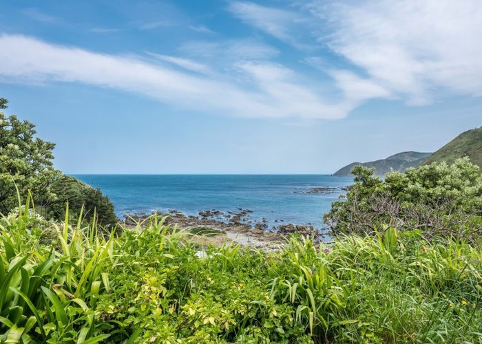  at 172 Severn Street, Island Bay, Wellington