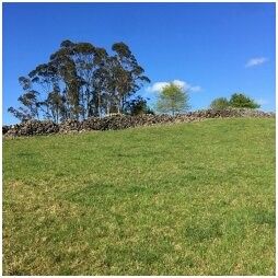  at 74 Mangakahia Road, Whangarei